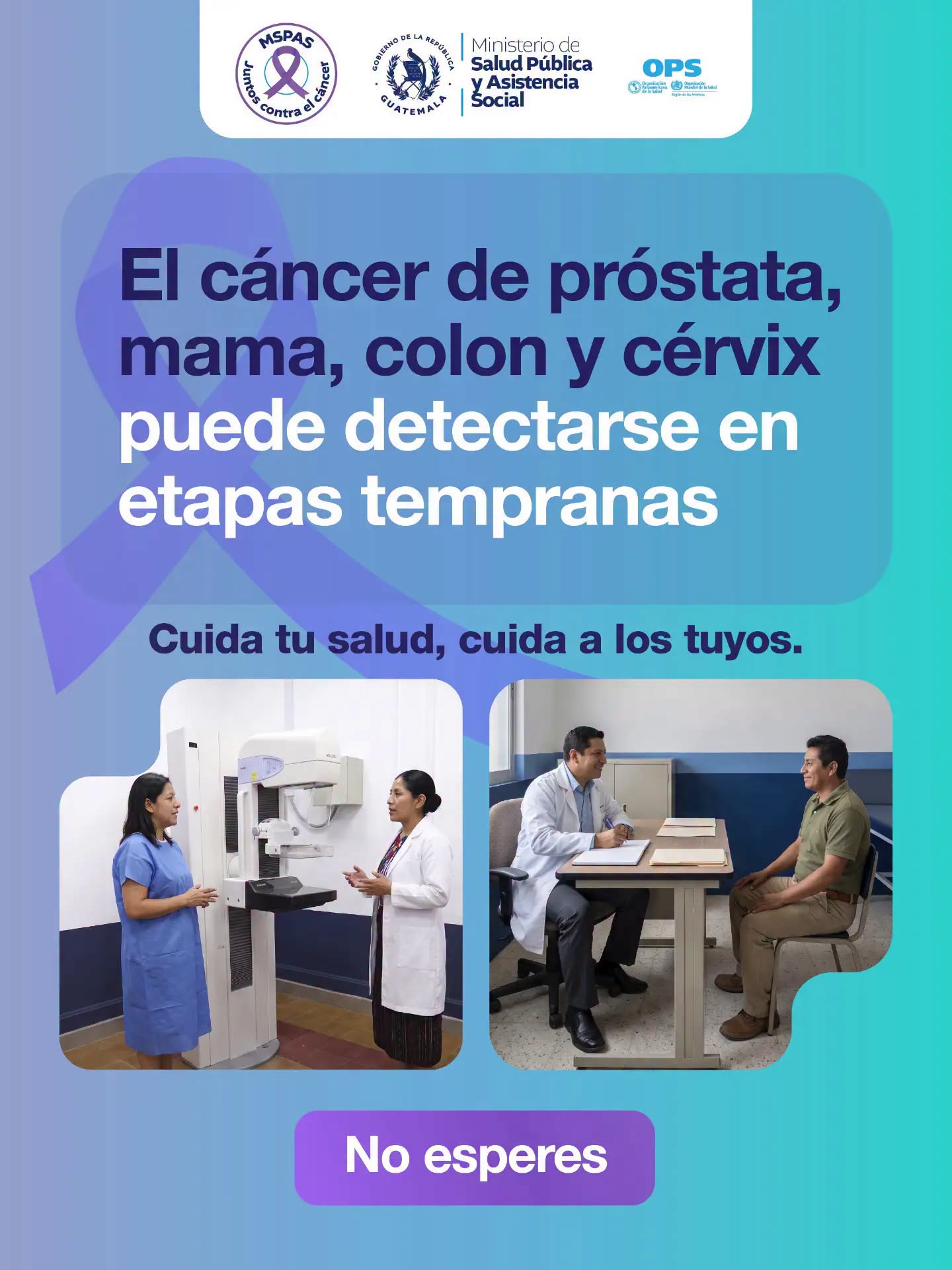 Noticia 3